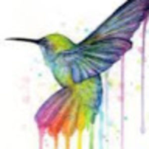 Meet your Posher, Alissa